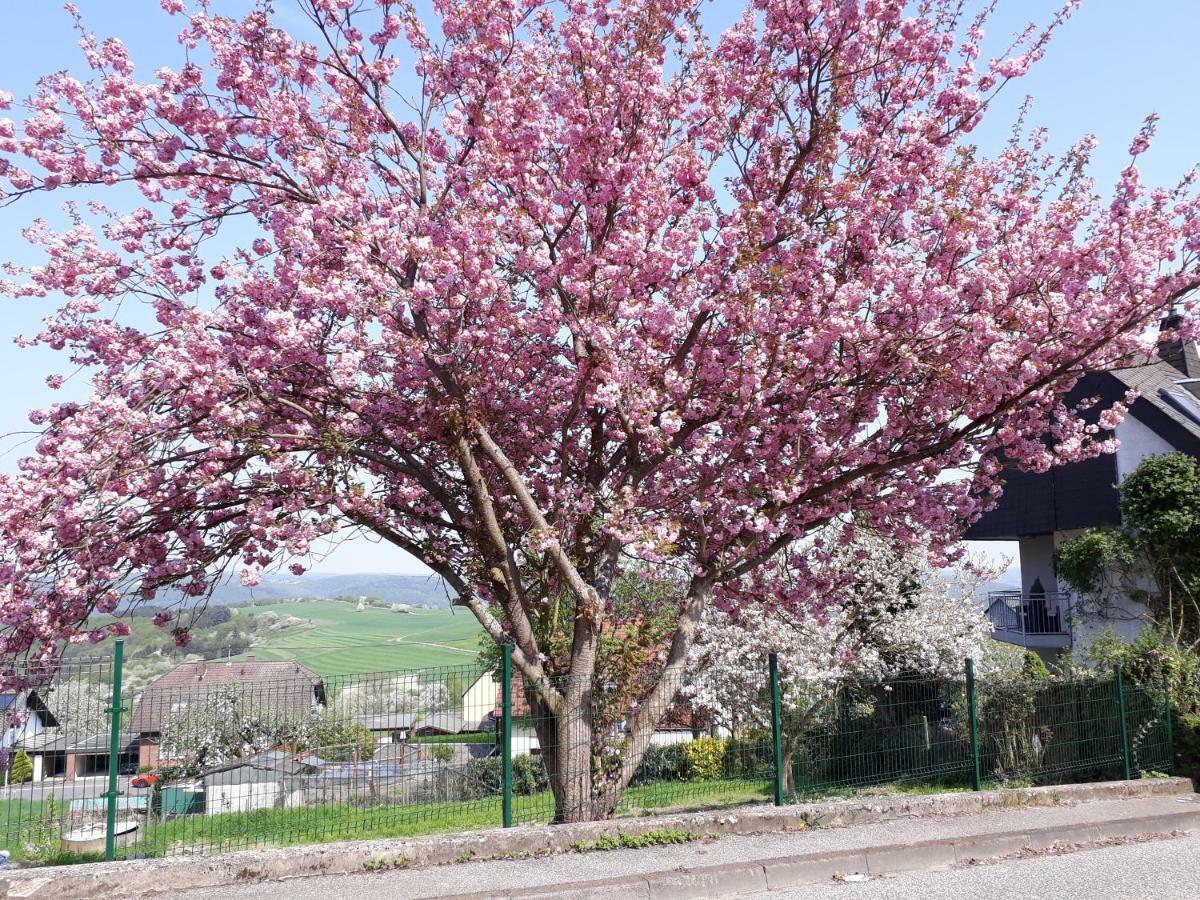 Apartament Haus Der Rosen Boppard Zewnętrze zdjęcie